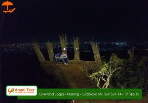 Pinus Pengger