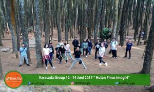 Hutan Pinus Imogiri