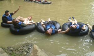 GOA PINDUL